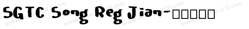 SGTC Song Reg Jian字体转换
